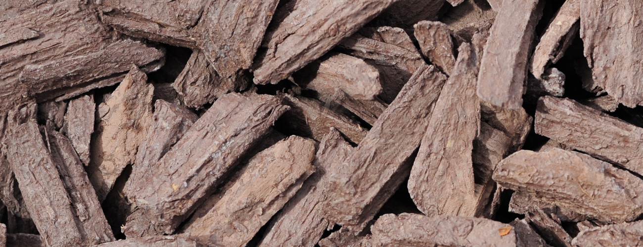 CEMWOOD